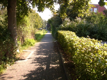 2008, am Walgenbach